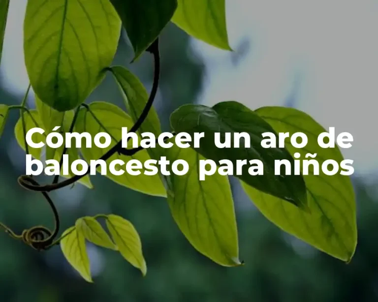 Cómo hacer un aro de baloncesto para niños