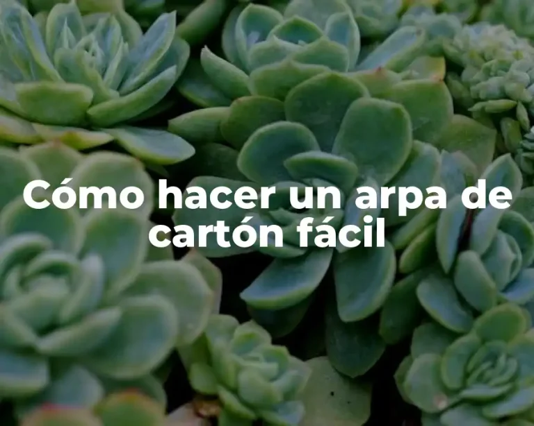 Cómo hacer un arpa de cartón fácil