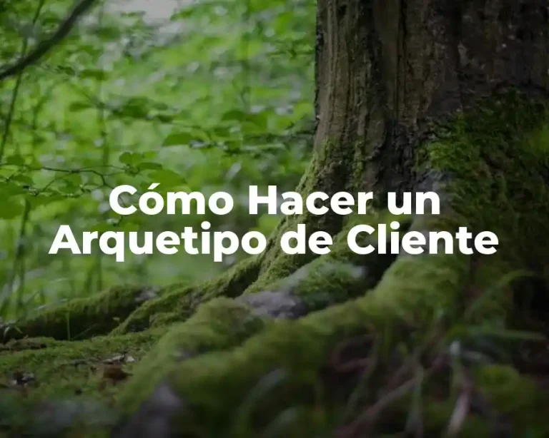Cómo Hacer un Arquetipo de Cliente