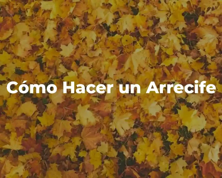Cómo Hacer un Arrecife