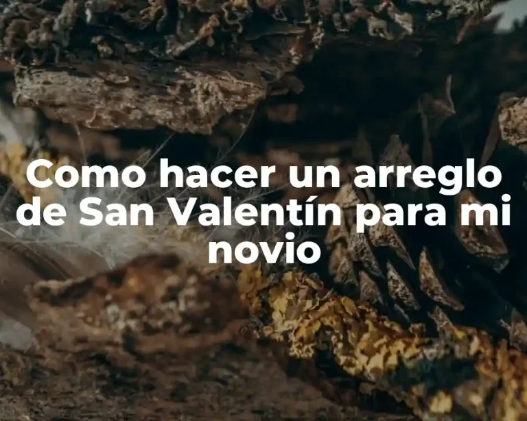 Como hacer un arreglo de San Valentín para mi novio