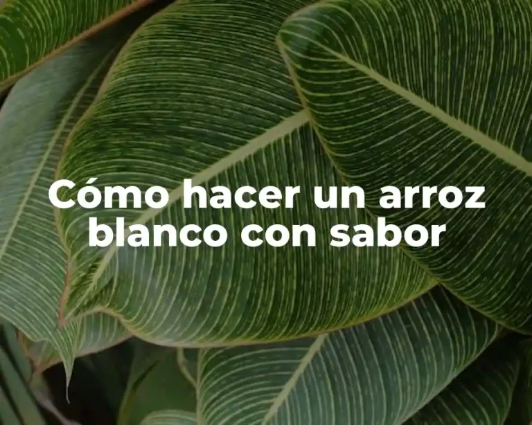 Cómo hacer un arroz blanco con sabor