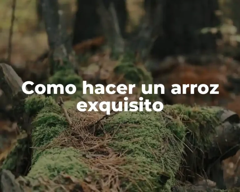 Como hacer un arroz exquisito