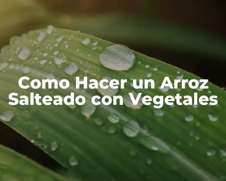 Como Hacer un Arroz Salteado con Vegetales