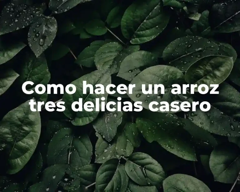 Como hacer un arroz tres delicias casero