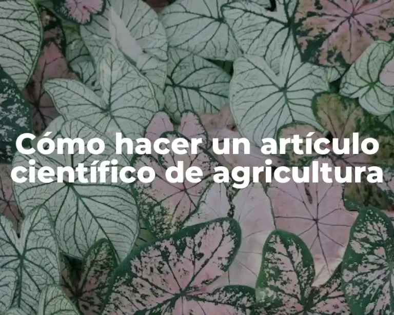 Cómo hacer un artículo científico de agricultura