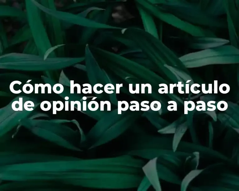 Cómo hacer un artículo de opinión paso a paso
