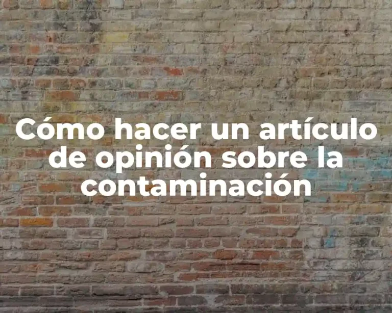 Cómo hacer un artículo de opinión sobre la contaminación