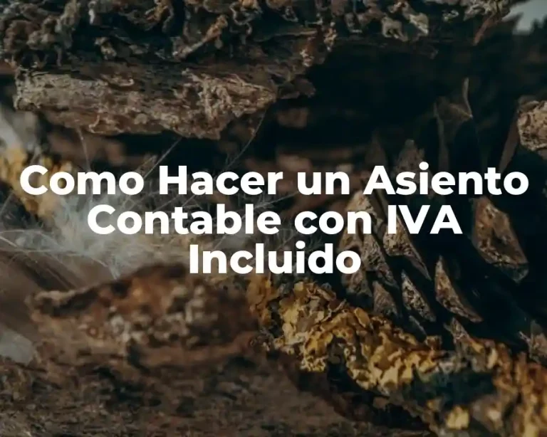 Como Hacer un Asiento Contable con IVA Incluido