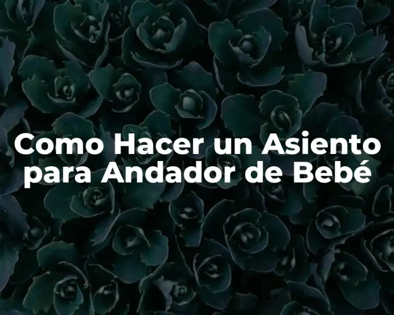 Como Hacer un Asiento para Andador de Bebé