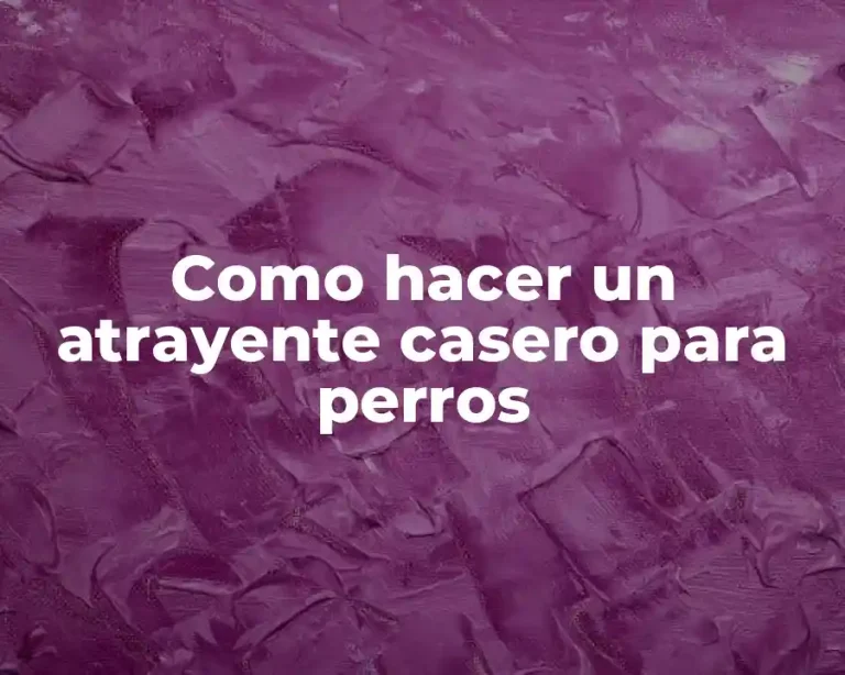 Como hacer un atrayente casero para perros