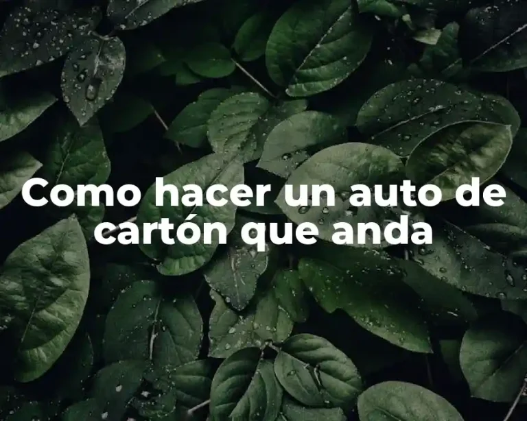 Como hacer un auto de cartón que anda