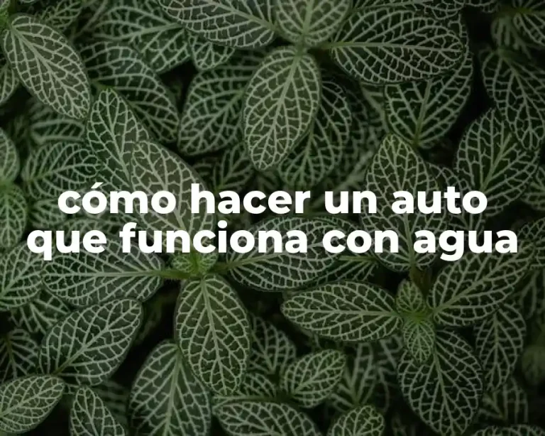 cómo hacer un auto que funciona con agua