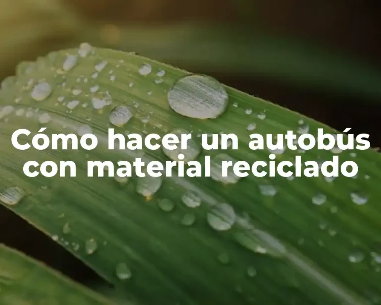 Cómo hacer un autobús con material reciclado