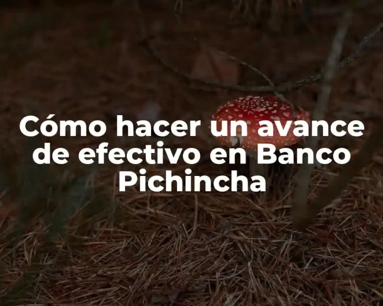 Cómo hacer un avance de efectivo en Banco Pichincha