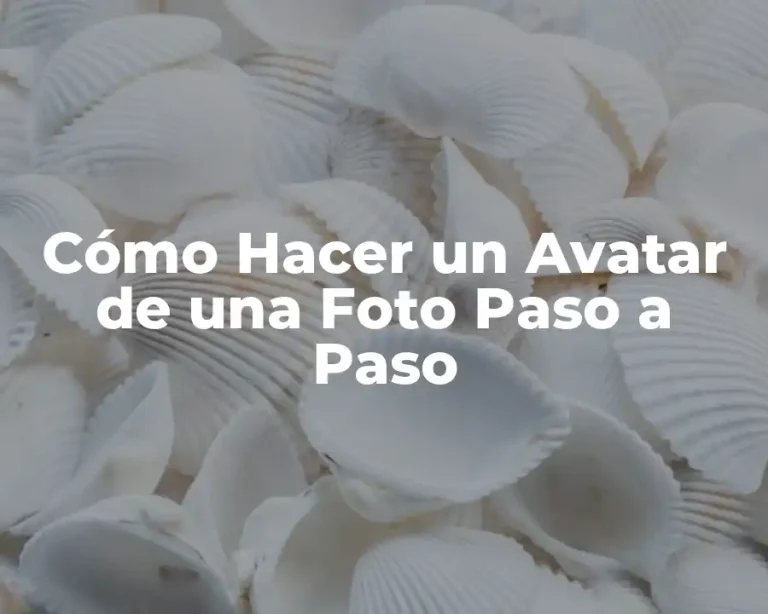 Cómo Hacer un Avatar de una Foto Paso a Paso