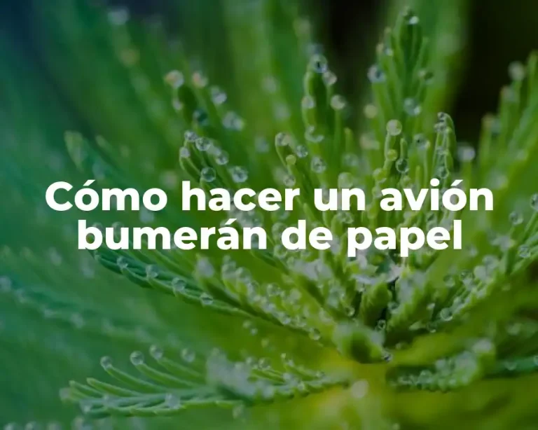 Cómo hacer un avión bumerán de papel