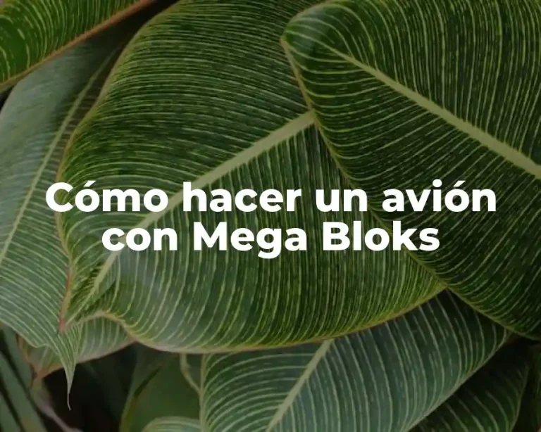 Cómo hacer un avión con Mega Bloks