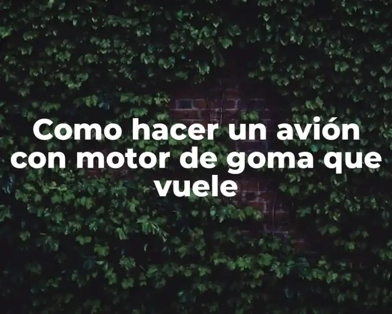 Como hacer un avión con motor de goma que vuele
