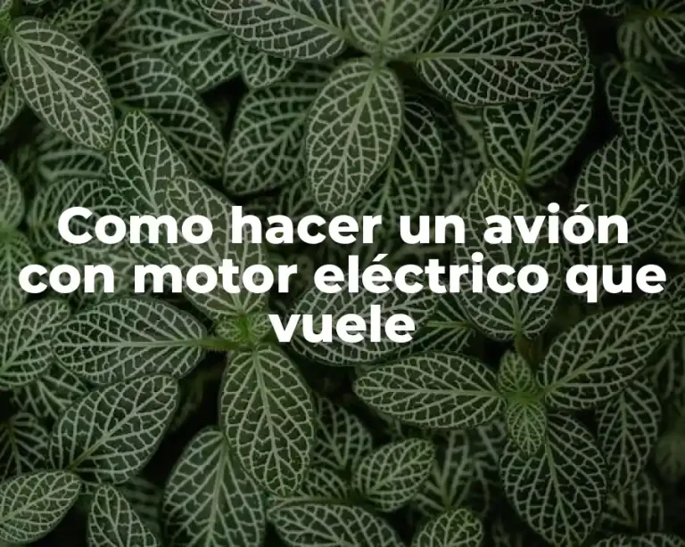 Como hacer un avión con motor eléctrico que vuele