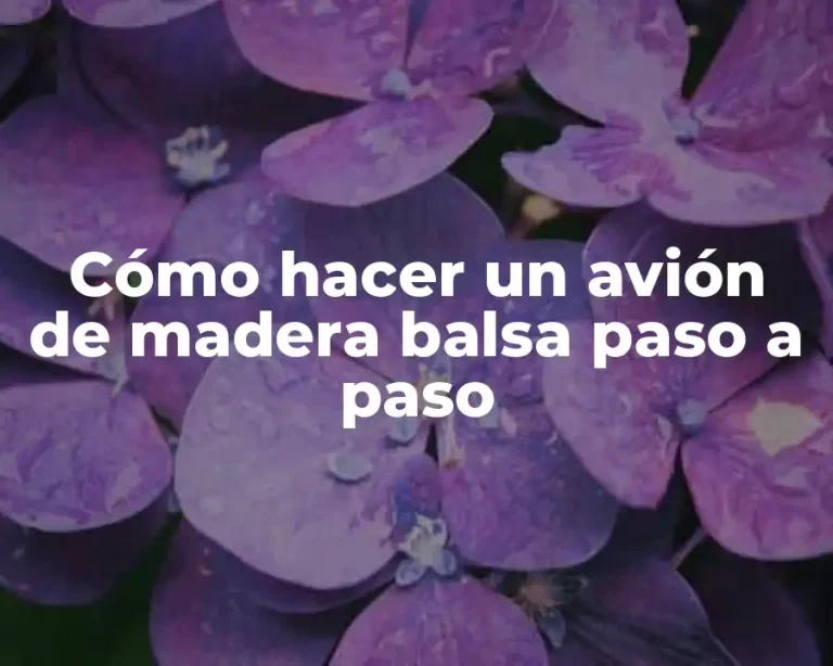 Cómo hacer un avión de madera balsa paso a paso