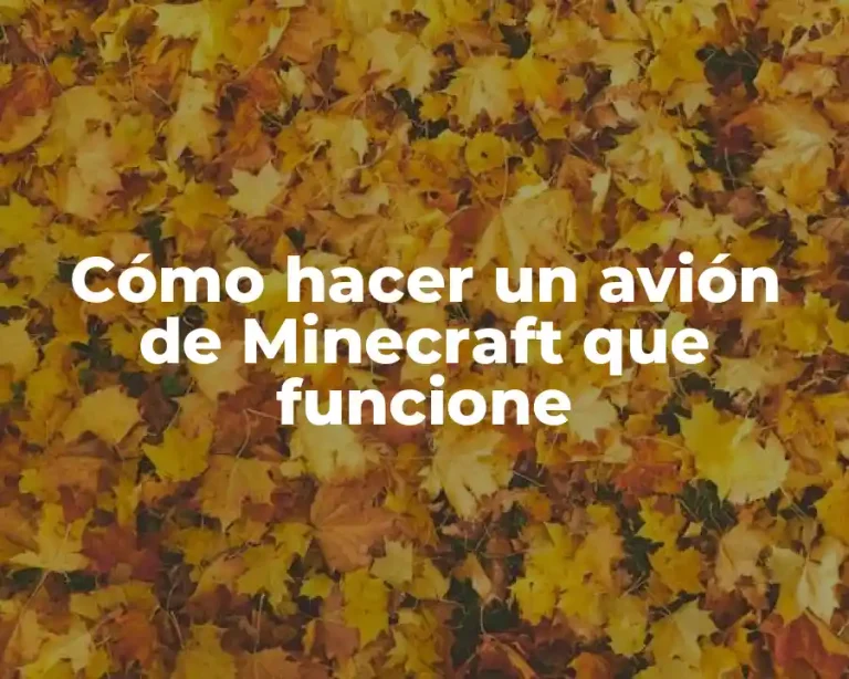 Cómo hacer un avión de Minecraft que funcione