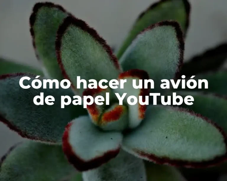 Cómo hacer un avión de papel YouTube