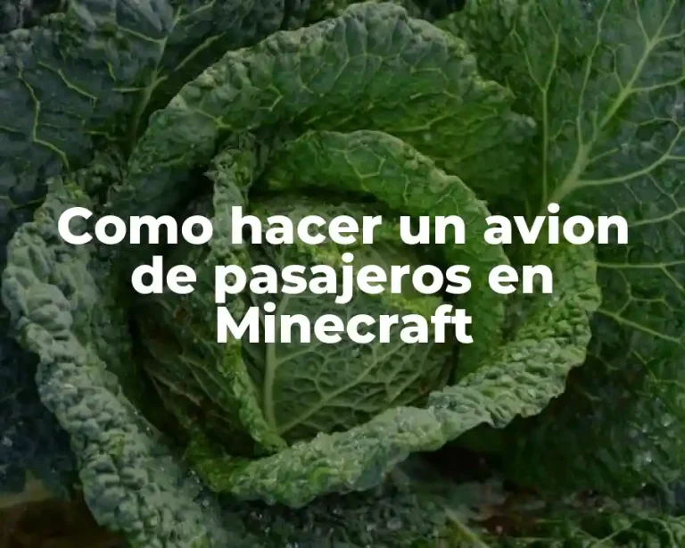 Como hacer un avion de pasajeros en Minecraft