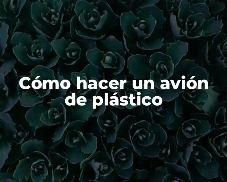 Cómo hacer un avión de plástico