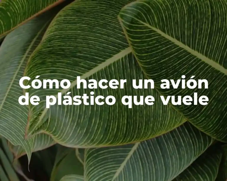 Cómo hacer un avión de plástico que vuele