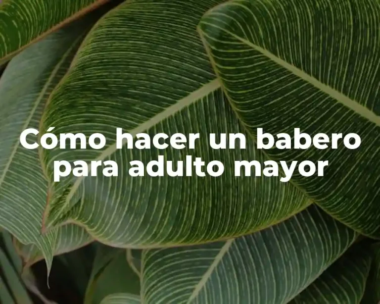 Cómo hacer un babero para adulto mayor
