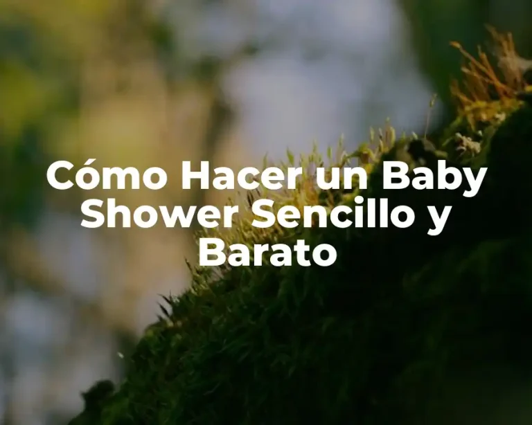 Cómo Hacer un Baby Shower Sencillo y Barato