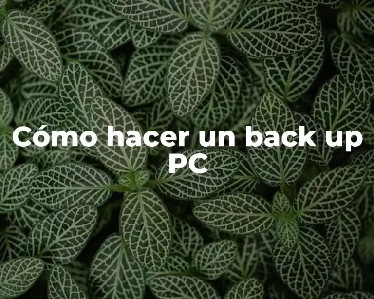 Cómo hacer un back up PC