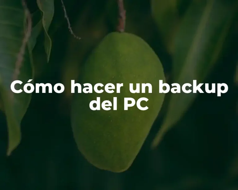 Cómo hacer un backup del PC