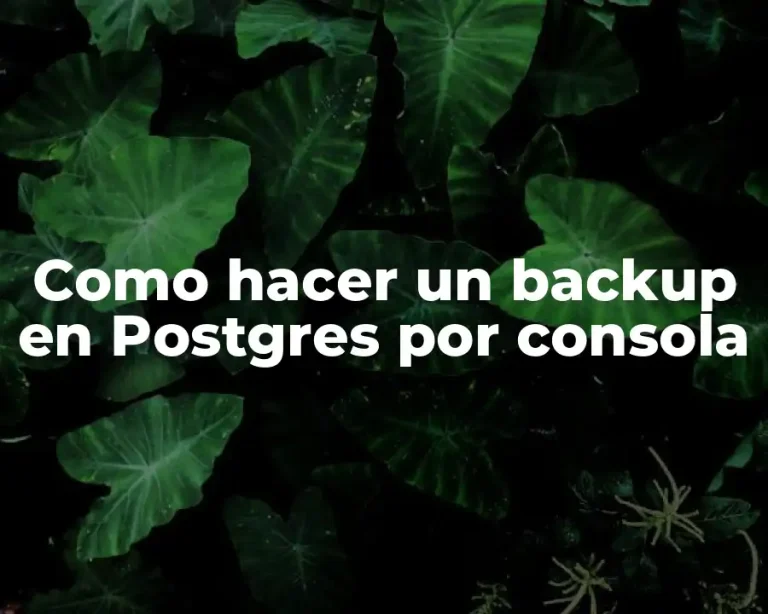 Como hacer un backup en Postgres por consola