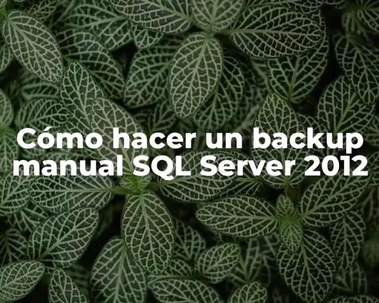 Cómo hacer un backup manual SQL Server 2012