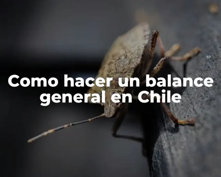 Como hacer un balance general en Chile