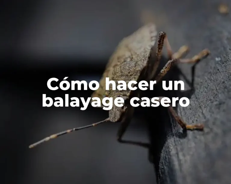 Cómo hacer un balayage casero