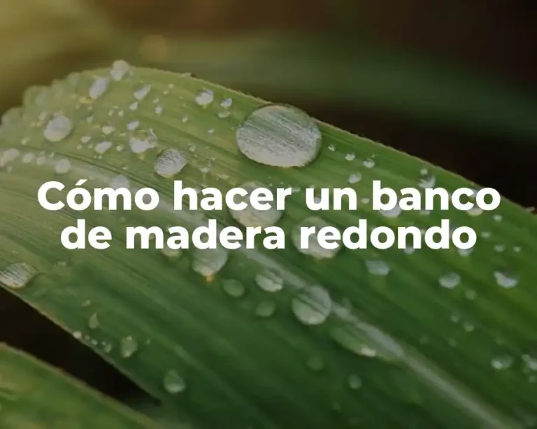 Cómo hacer un banco de madera redondo