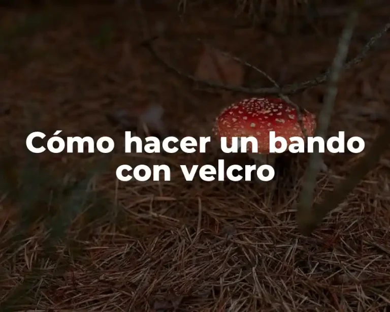 Cómo hacer un bando con velcro