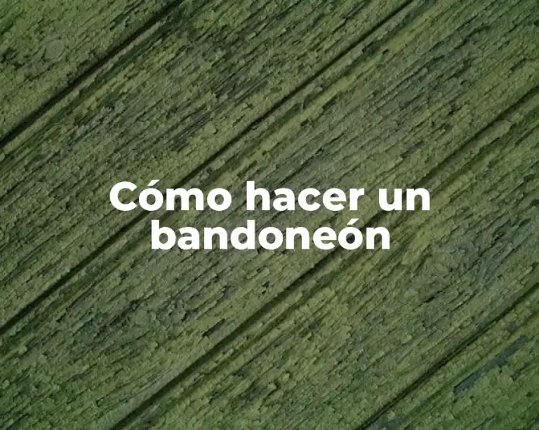Cómo hacer un bandoneón