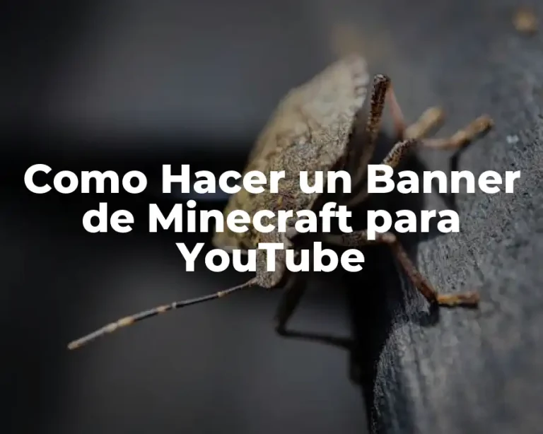 Como Hacer un Banner de Minecraft para YouTube