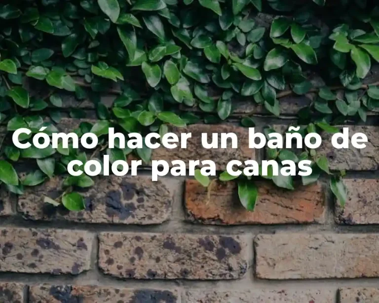 Cómo hacer un baño de color para canas
