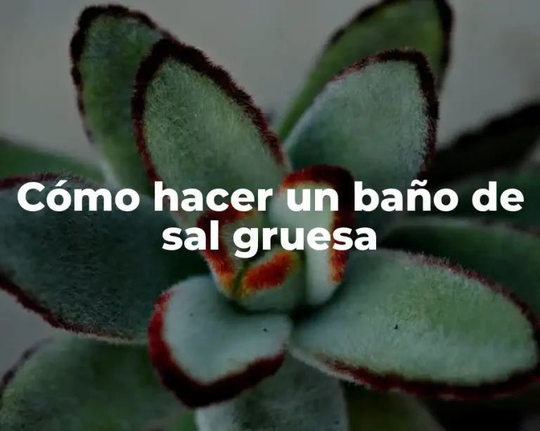 Cómo hacer un baño de sal gruesa