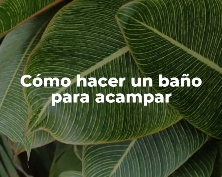 Cómo hacer un baño para acampar