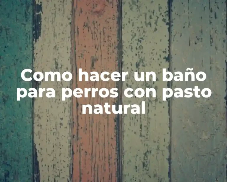 Como hacer un baño para perros con pasto natural
