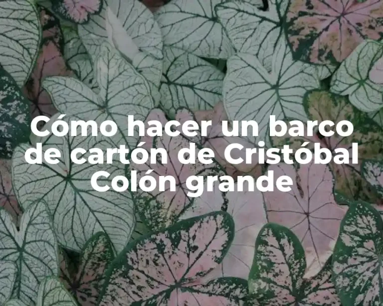 Cómo hacer un barco de cartón de Cristóbal Colón grande