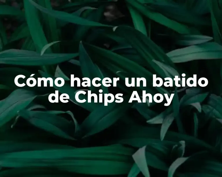 Cómo hacer un batido de Chips Ahoy