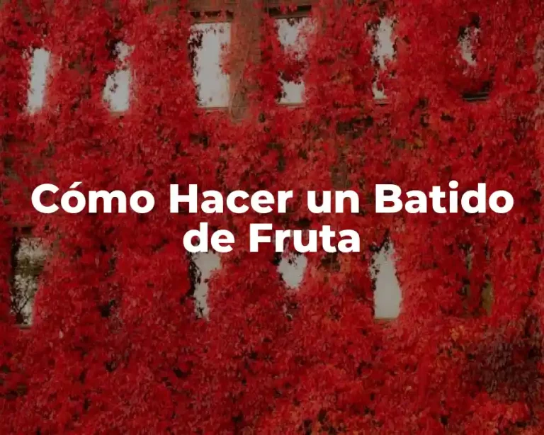 Cómo Hacer un Batido de Fruta