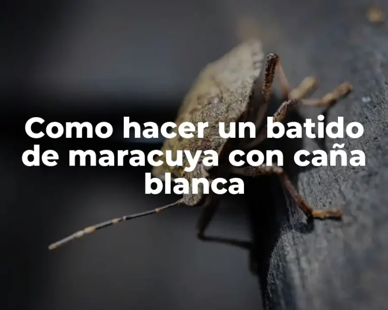 Como hacer un batido de maracuya con caña blanca